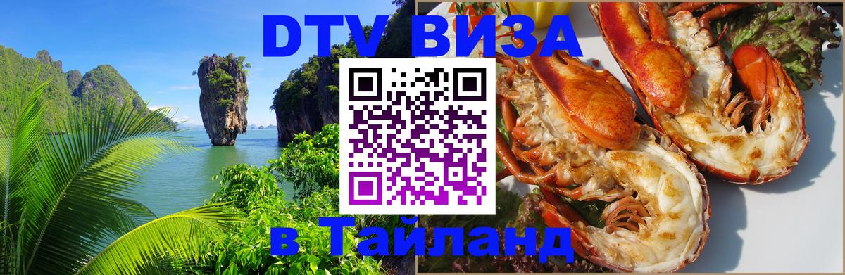 Оформление DTV визы под ключ: стоимость и тарифы, только загранпаспорт - 18.11.2025 